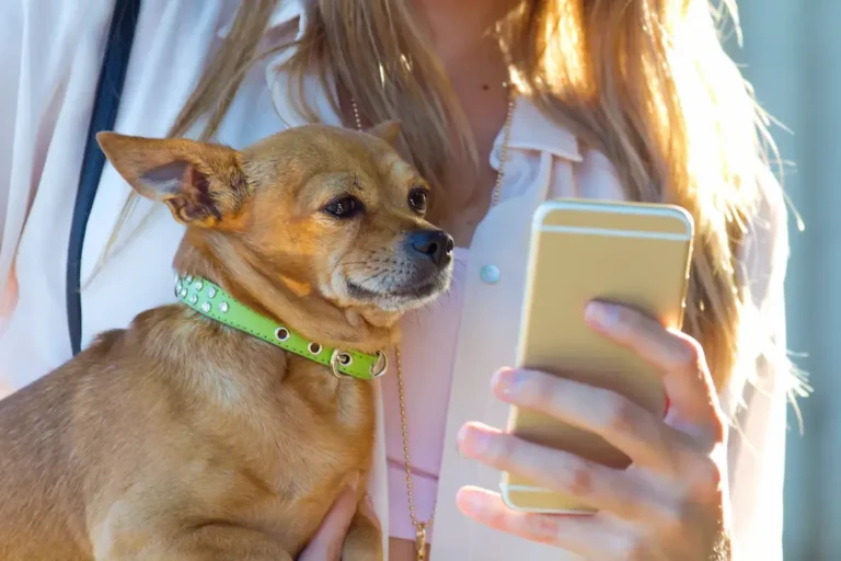 Apps para mascotas