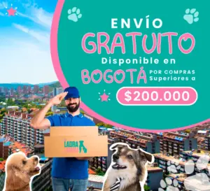Banner Envío Gratis 2