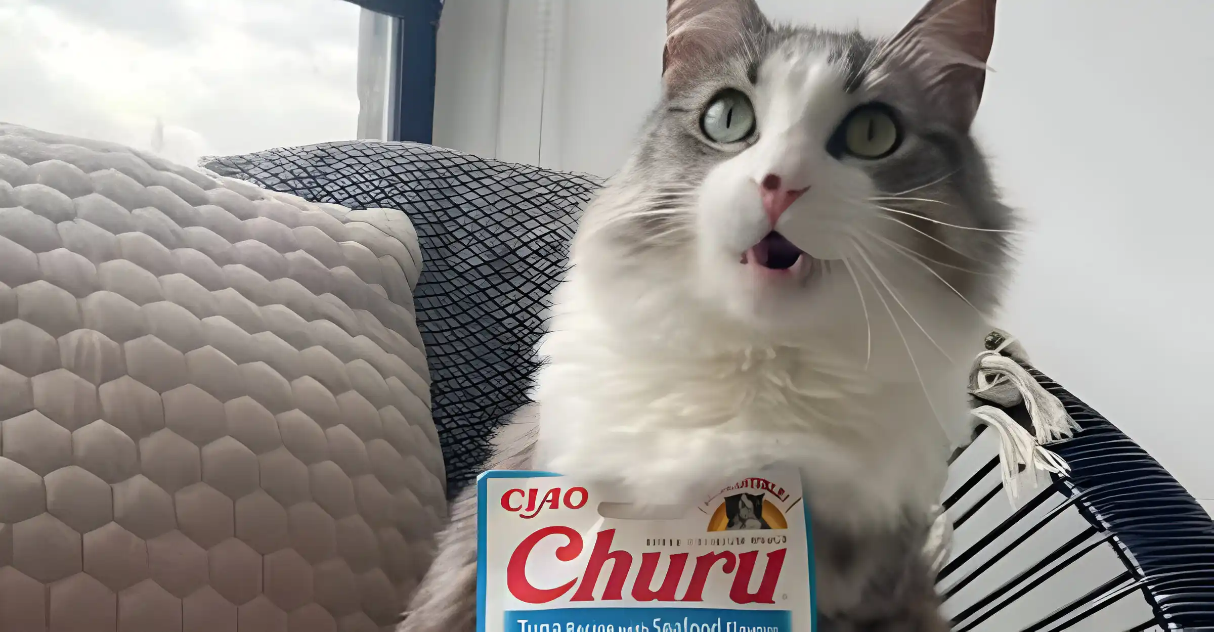 churu para gatos