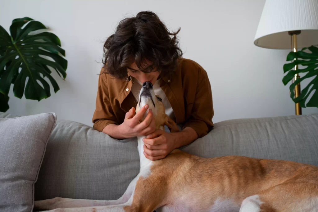 Olfato de un perro