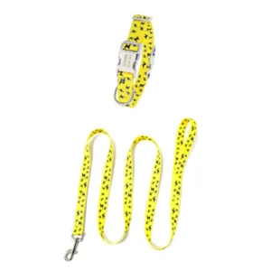 Set Collar y Correa Rayos