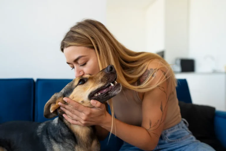 Dale la bienvenida a tu mascota con estos productos